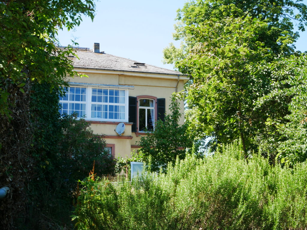 P1040501